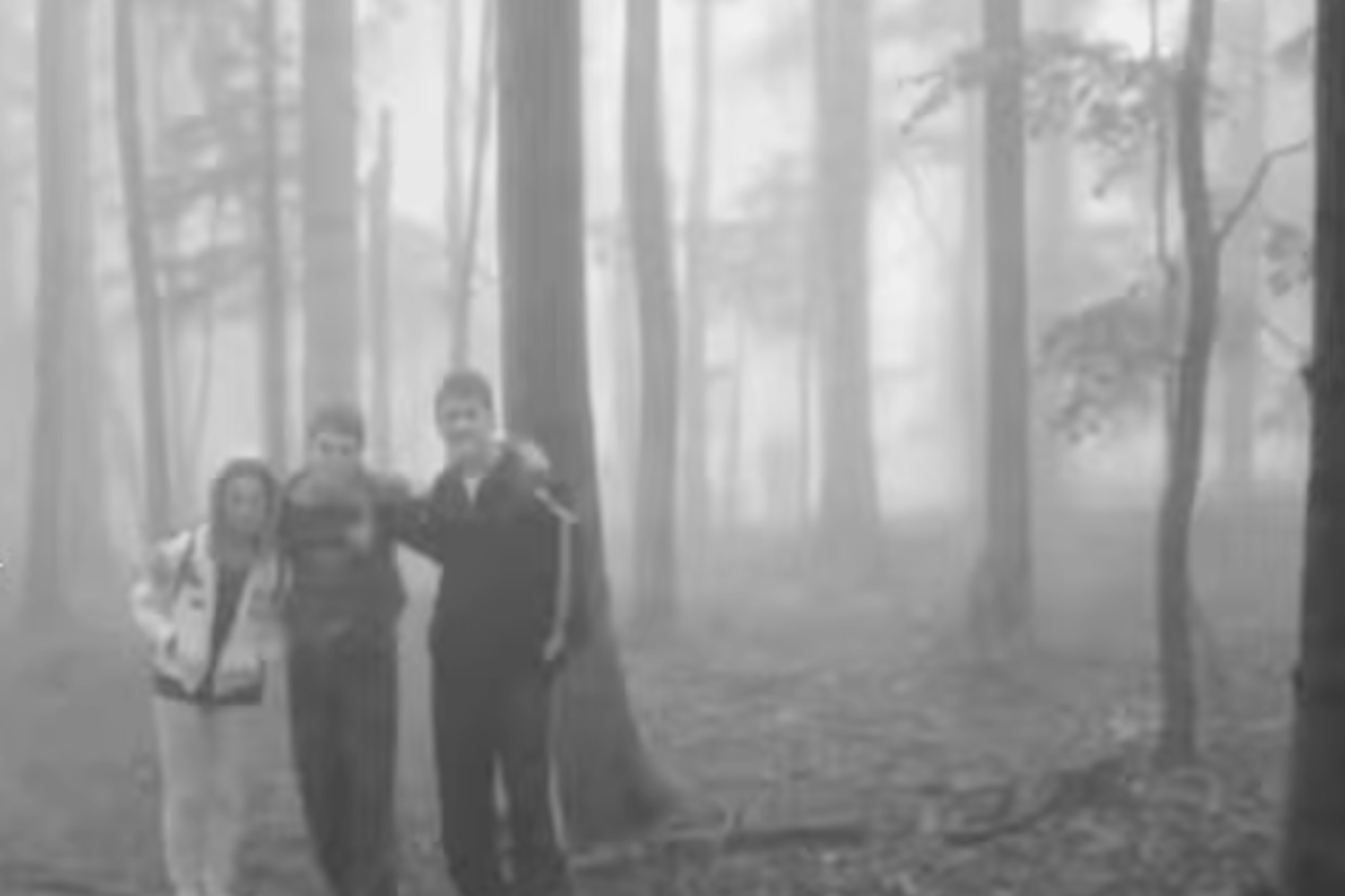 副作用と相互作用